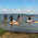 Surf und Segel Hiddensee Kindersurfkurs auf der Insel Hiddensee